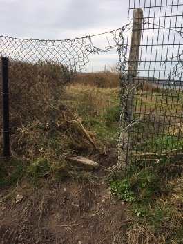 Security fencing at Ward’s Yard is being damaged on a regular basis